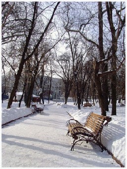 Яблоко не только полезно, но и...