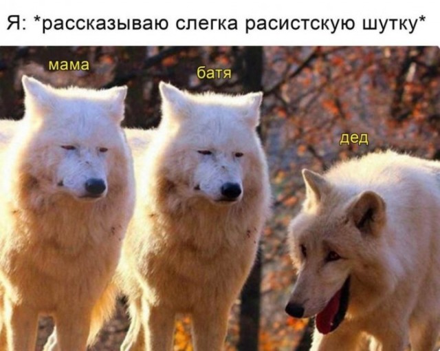Немного картинок для настроения 14.07.20