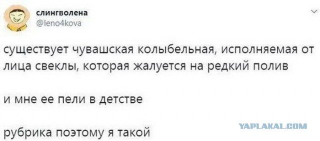 Забавные шутки, картинки и фразы из этих ваших интернетов