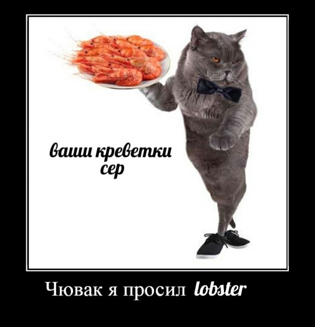 Всякая всячина 30.03.2021