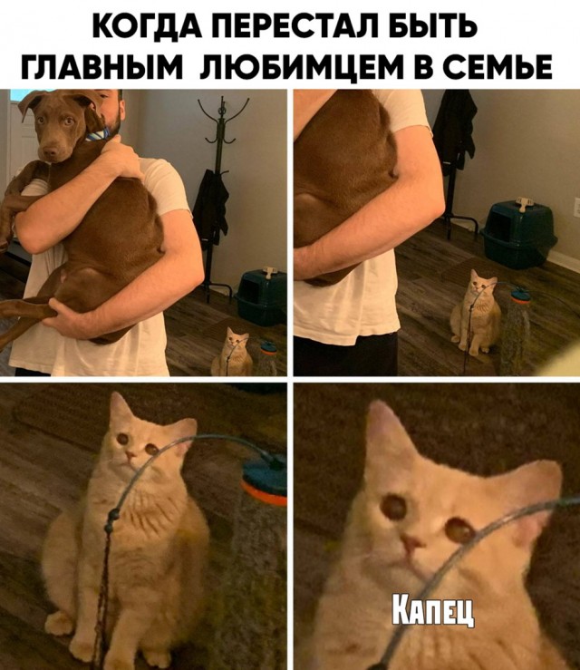 Картинки с надписями и всякие жизненные фразы 1.05.21