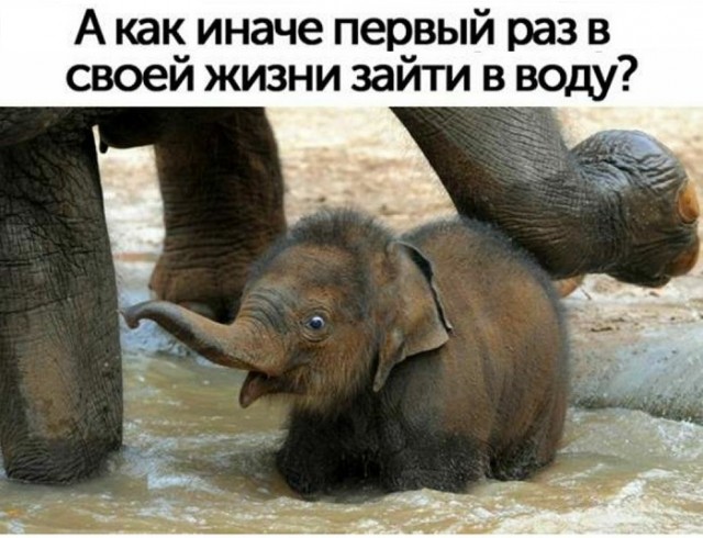 Картинки с надписями и всякие жизненные фразы 4.05.21
