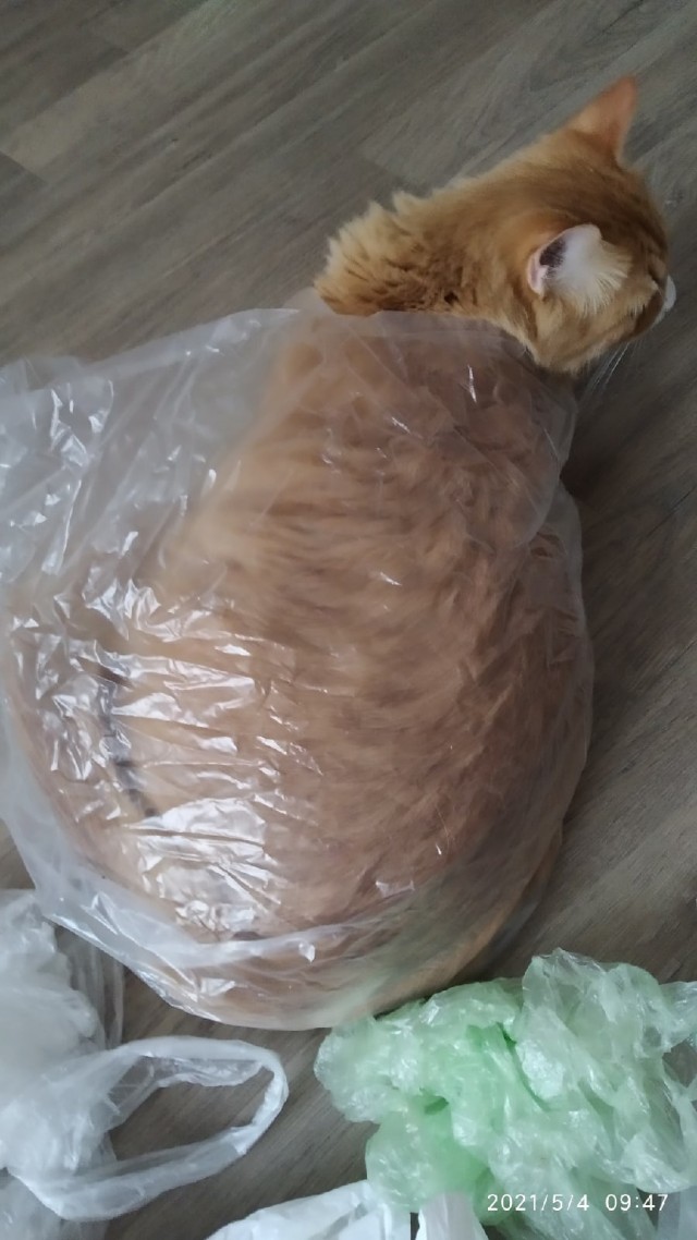 Подборка всякой живности