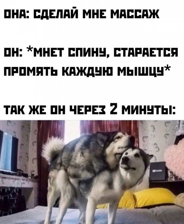 Весёлый полтишок 10.07