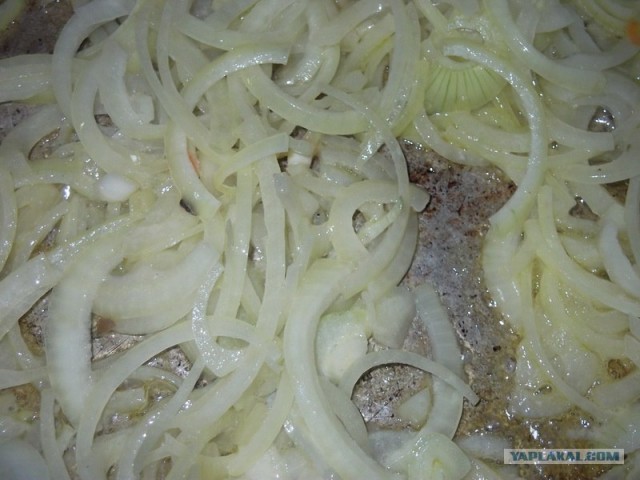 Фасоль – International, Или «Веселые нотки»