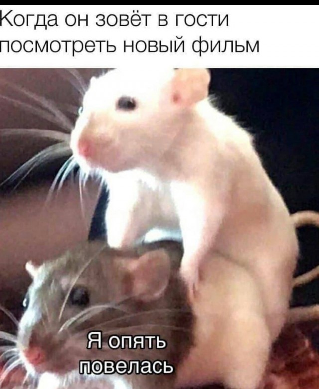 Картинки с лёгким сексуальным намеком