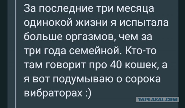 Весёлый полтишок 26.11