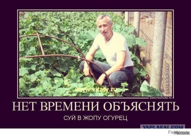 Погасить горящий пукан за неделю!