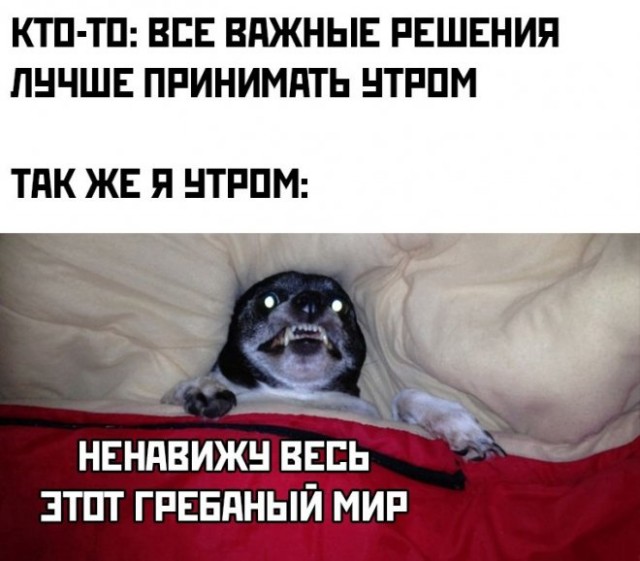 Приколы дня мемов с мактинками