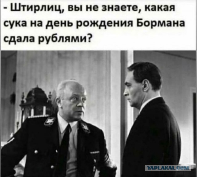 Шольца заметили в Ростове
