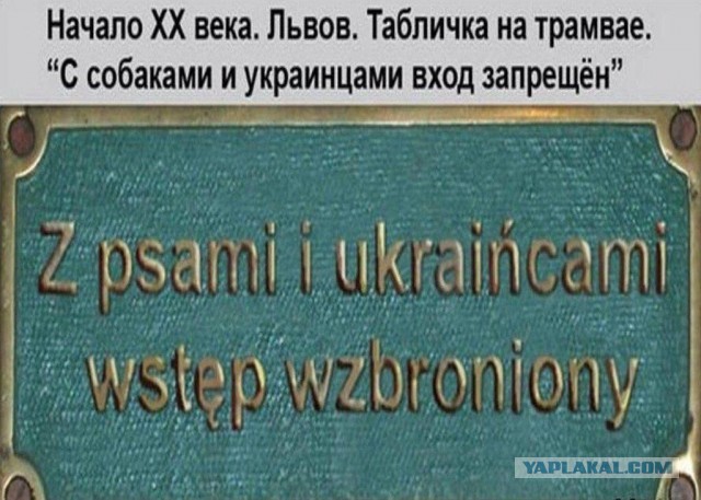 Владимир Путин — о действиях России на Украине