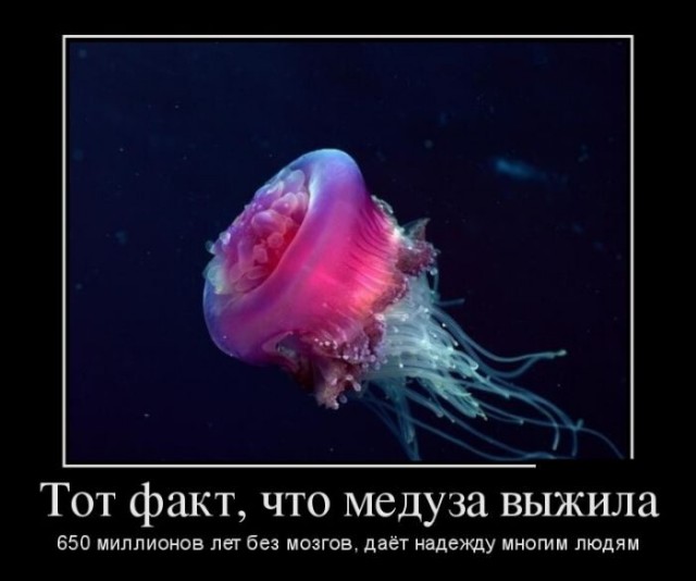 Картинки с надписями 10.07.22