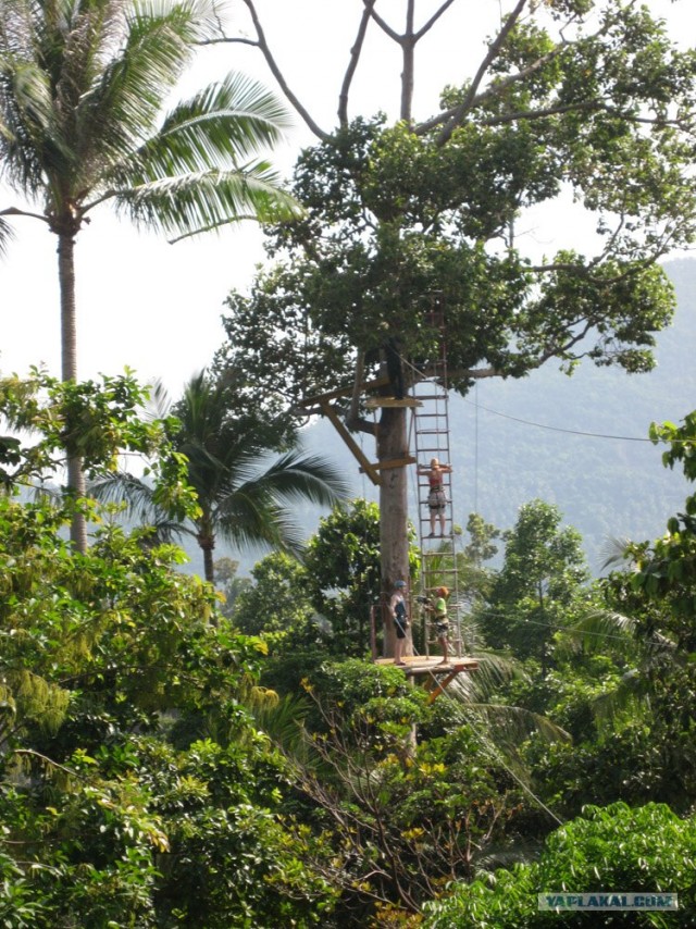Такой разный остров Самуи
