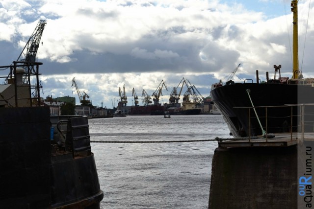 СПб глазами уставшего туриста...