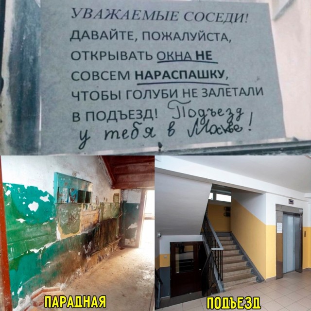 Картинки и мемы для настроения - 27
