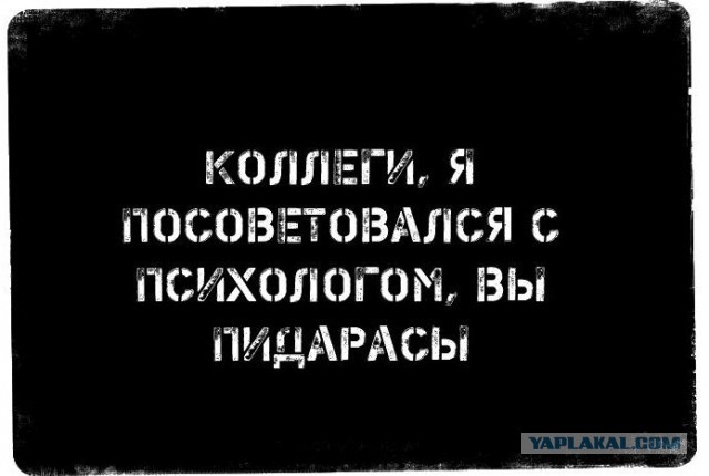 В Подмосковье коллеги донесли на критиковавшую спецоперацию сослуживицу