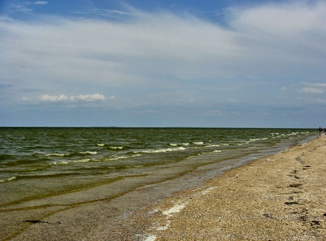 История одной поездки