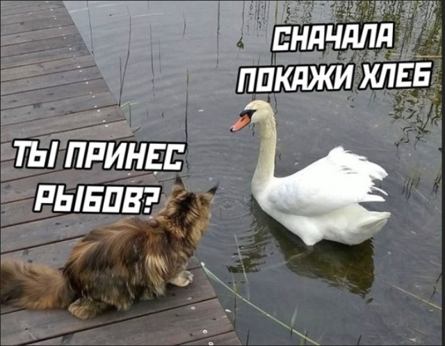 Можно я тоже рыбами похвастаюсь?