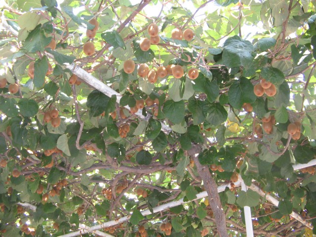 Отдых в Черногории (сентябрь 2012)