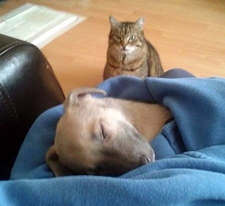 Так себе картинки 21.10.22