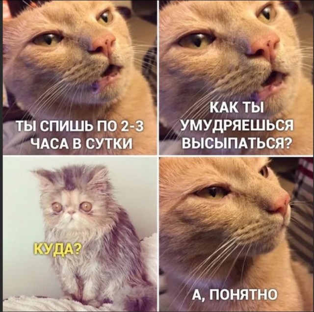 Победная поступь идиотизма по планете.