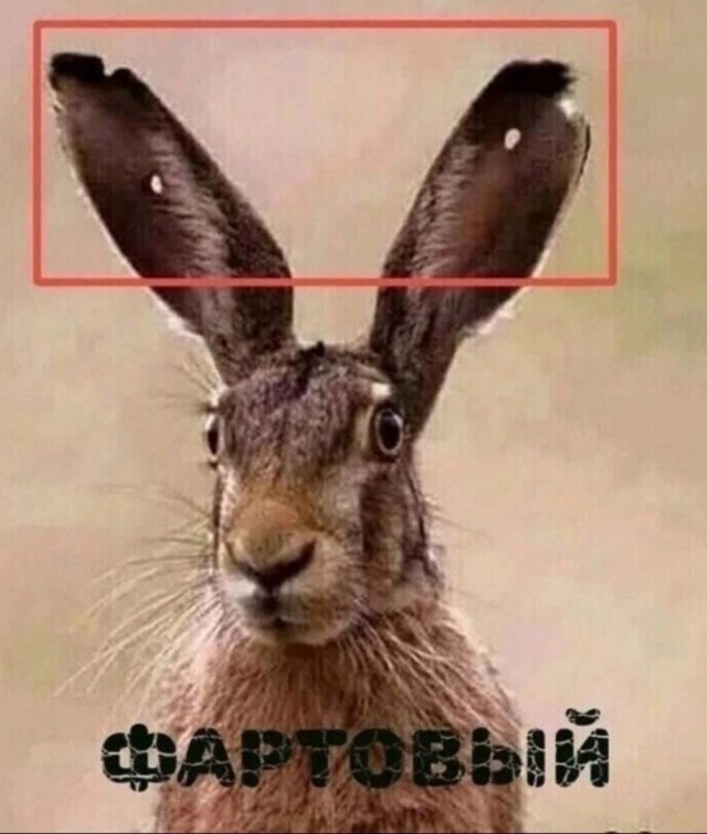 За лотерейным билетом, наверное, побежал
