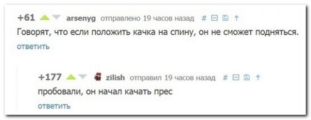 Забавные комментарии из социальных сетей (21.11.22)