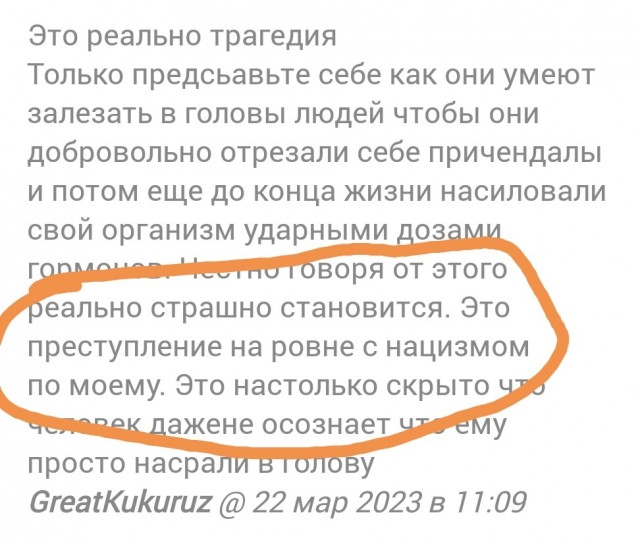 Вот такие теперь шоу....