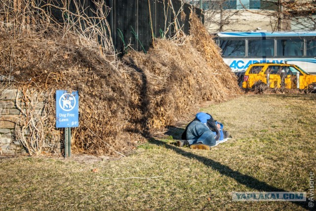 Как я в NYC ездил.
