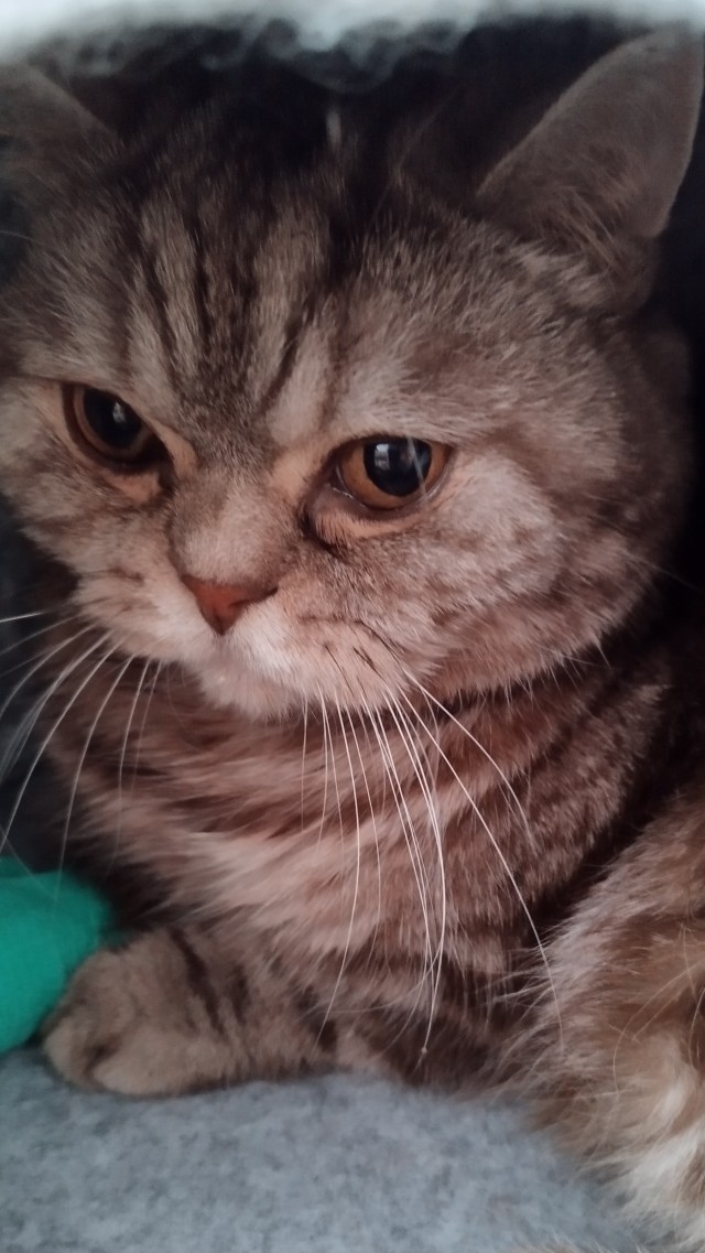 Друг собирается на радугу