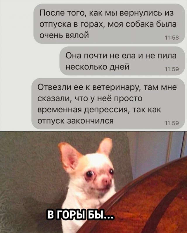 Так себе картинки 28.07.23