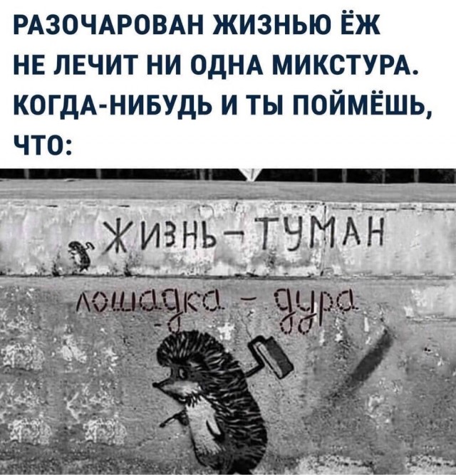 Так себе картинки 06.12.23