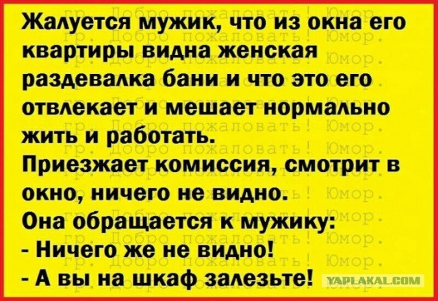 Неравнодушные мамы Волгограда пожаловались на «развратную» школу Pole Dance из-за открытых штор