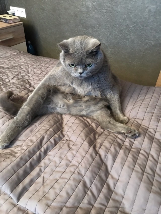 Вот это хоба, всем хобам хоба!