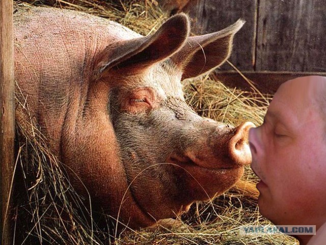 Это любовь. Однозначно!