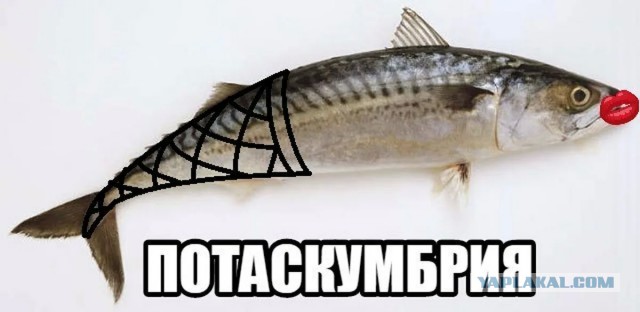 Если надоели всякие котики и вообще картинки, коллеги