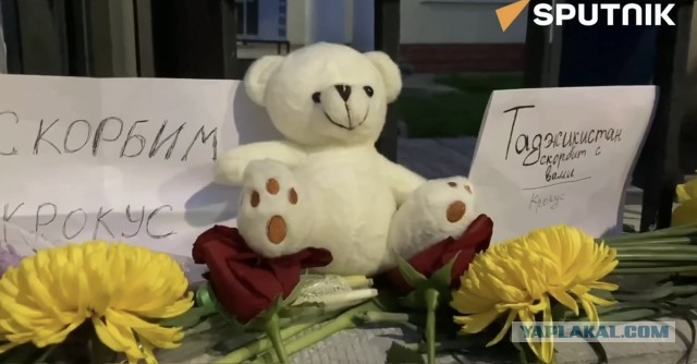 А чего Таджикистон?