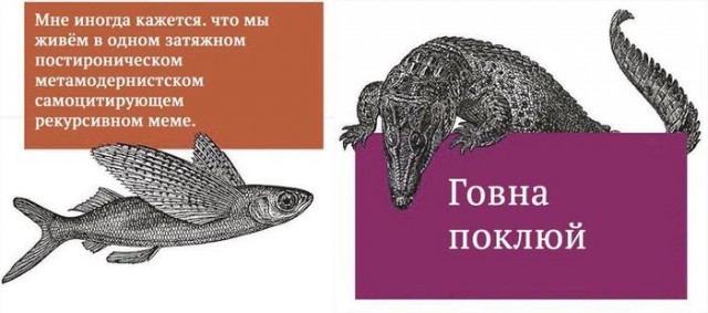LOLтиночки