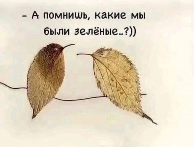 Прикольные и просто красивые картинки