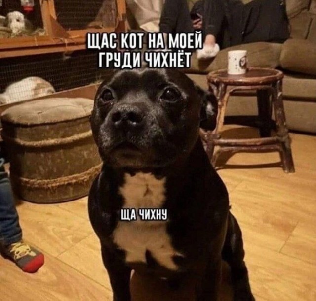 Завалялось тут случайно немного забавных картинок