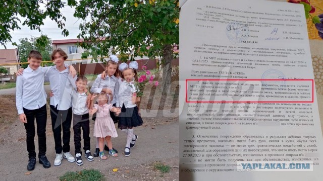 В Ставрополье русская многодетная семья подверглась нападкам со стороны обосновавшихся в регионе армян