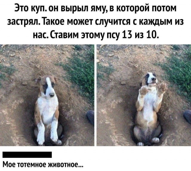Так себе картинки 01.05.25