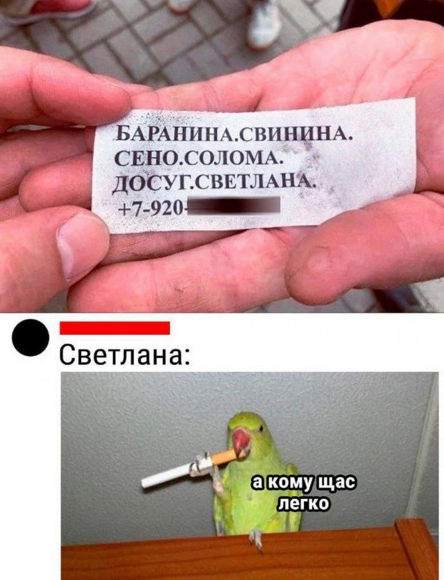 Иллюстрации