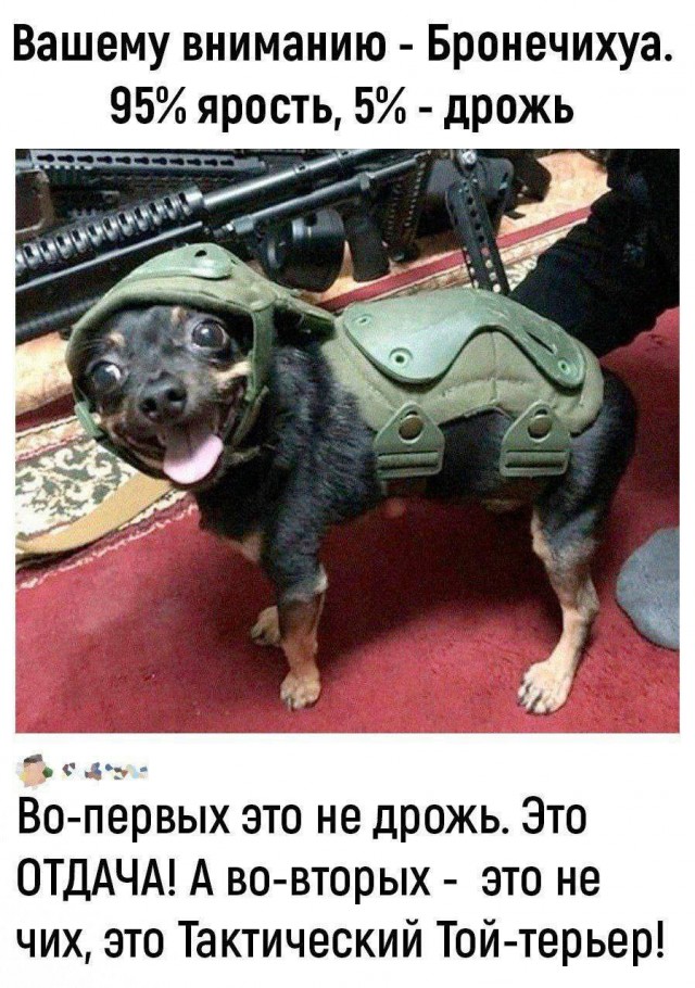 Как всегда!