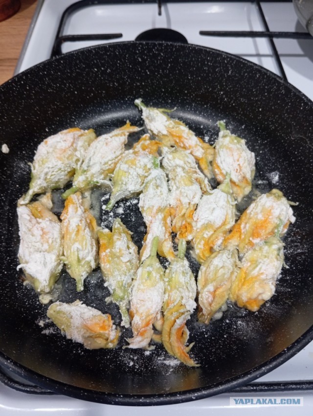 Цветки цуккини с сырно-креветочной начинкой