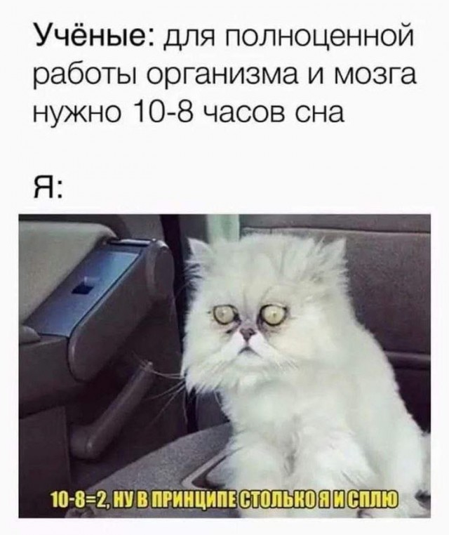 Картинки для деградации 100 (разной степени свежести)