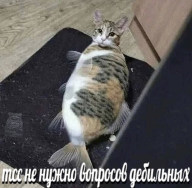 Четверговые картинки