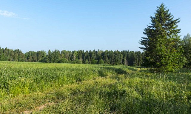 Деревенская Америка - 10