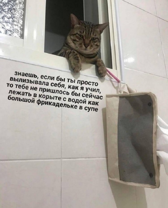 Так себе картинки 26.02.26