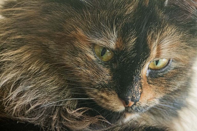 Моя любимая Умка